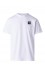 Koszulka The North Face M Evolution Box Half Dome Regular Tee męska