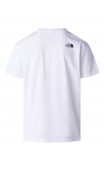Koszulka The North Face M Evolution Box Half Dome Regular Tee męska