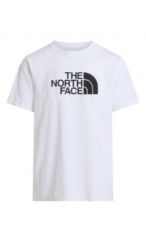 Koszulka The North Face M Evolution Half Dome Tee męska