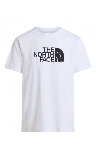 https://napieszo.pl/9747-thickbox_alysum/koszulka-the-north-face-m-evolution-half-dome-tee-meska.jpg