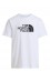 Koszulka The North Face M Evolution Half Dome Tee męska