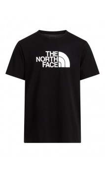 Koszulka The North Face M Evolution Half Dome Tee męska