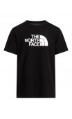 Koszulka The North Face M Evolution Half Dome Tee męska