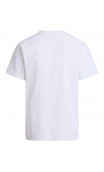 Koszulka The North Face M Evolution Simple Dome Tee męska