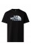 Koszulka The North Face M Mountain Line Regular Tee męska